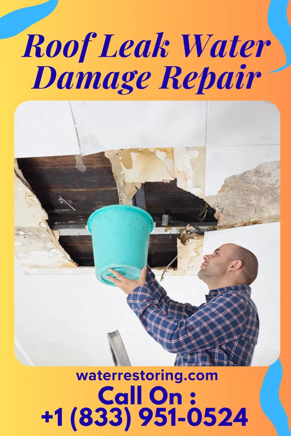 Roof Leak Water Damage Repair in Coleman, WI
