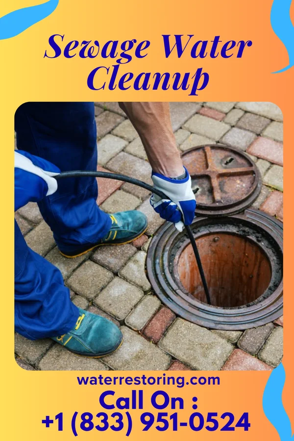 Sewage Water Cleanup in Coleman, WI
